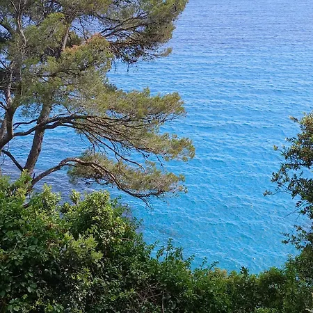 Vue A Couper Le Souffle Sur La Mediterranee Le Rayol-Canadel-sur-Mer