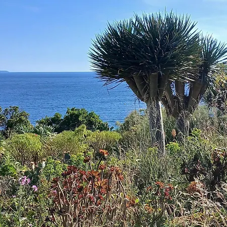 Vue A Couper Le Souffle Sur La Mediterranee