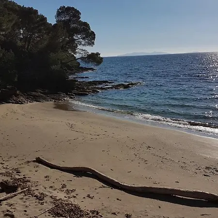 Vue A Couper Le Souffle Sur La Mediterranee * Le Rayol-Canadel-sur-Mer