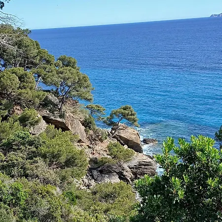 公寓 Vue A Couper Le Souffle Sur La Mediterranee Le Rayol-Canadel-sur-Mer