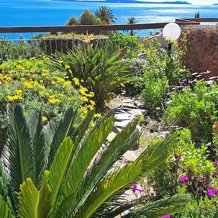 Vue A Couper Le Souffle Sur La Mediterranee Le Rayol-Canadel-sur-Mer