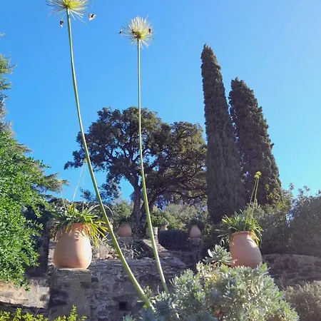 شقة Vue A Couper Le Souffle Sur La Mediterranee