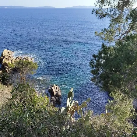شقة Vue A Couper Le Souffle Sur La Mediterranee *