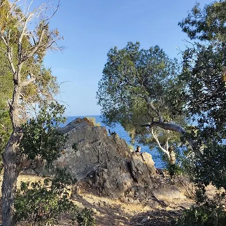 Vue A Couper Le Souffle Sur La Mediterranee * Le Rayol-Canadel-sur-Mer