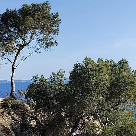 Vue A Couper Le Souffle Sur La Mediterranee * Le Rayol-Canadel-sur-Mer