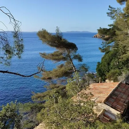 Vue A Couper Le Souffle Sur La Mediterranee 公寓 Le Rayol-Canadel-sur-Mer